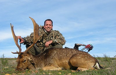 hunting Fallow Deer Stag 400 bdbb347f2ab640f006f82f62885a1280 1DFD