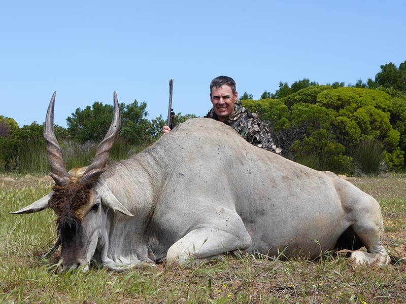 hunting a kudo in south africa