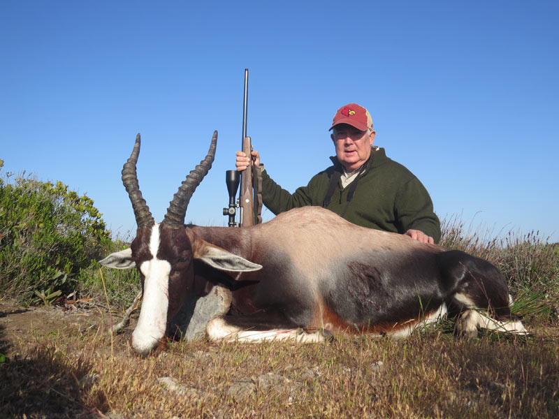 Bontebok On A Guided Hunt In The Overberg