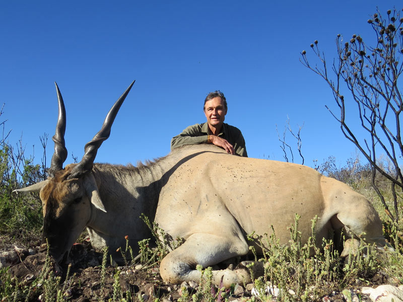 Eland Bull 39 Inches Guided Hunt South Africa