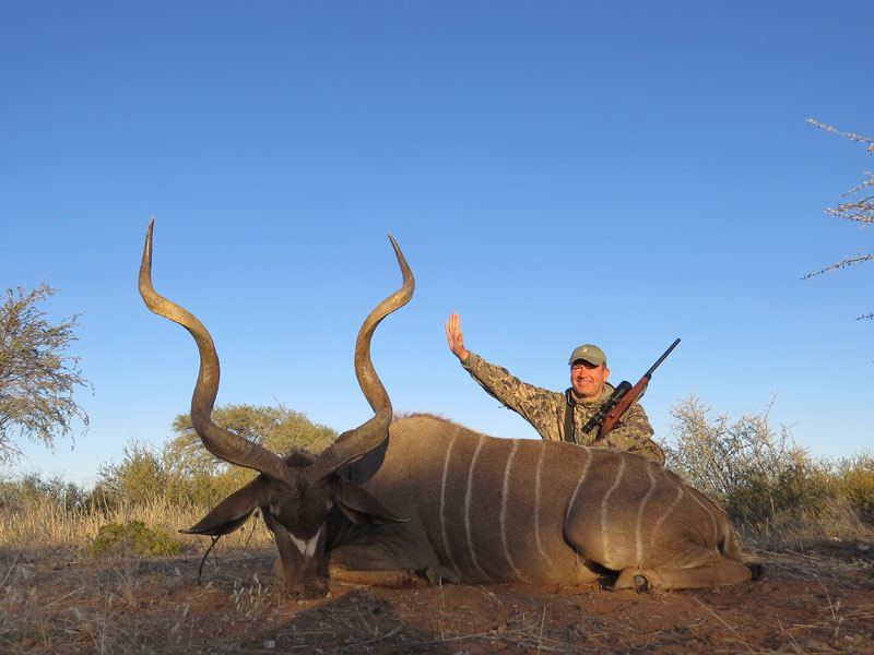 Kudu Bull Magnificent