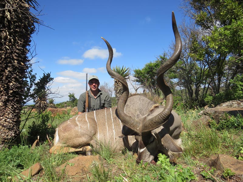 Southern Greater Kudu Bull Guided Hunts