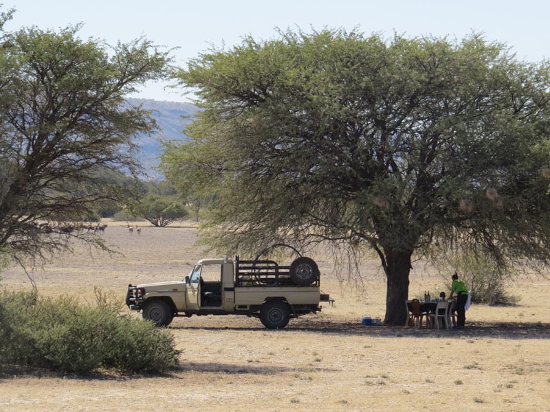 Lunch on Safari in the Bush