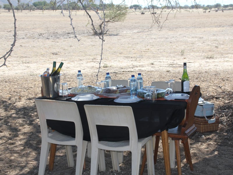 Lunch on Safari